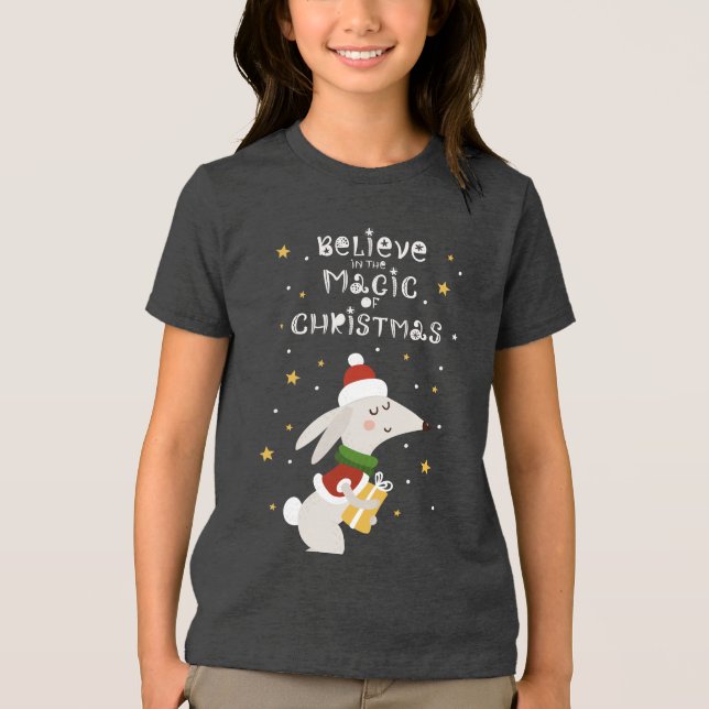 Believe In The Magic Of Christmas Cute Dog Tri-Blend Shirt (Front)