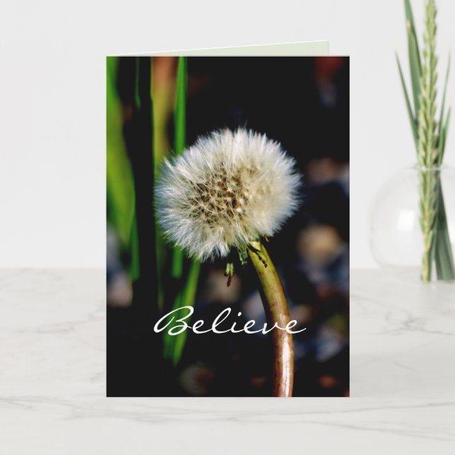 Believe in the Magic of the Season, Dandelion Holiday Card (Front)