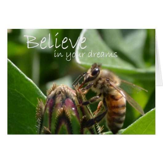 Believe in your Dreams Cards (Front Horizontal)