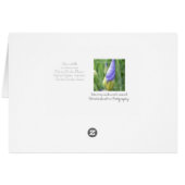 Believe in your Dreams Cards (Back Horizontal)