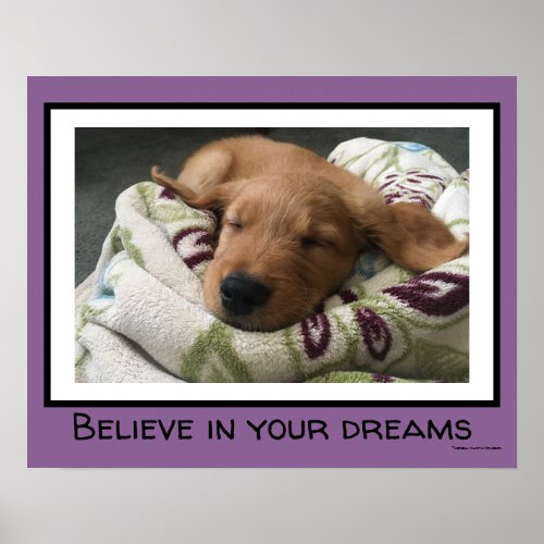 Believe in Your Dreams Poster