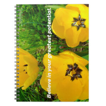 Believe In Your Greatest Potential.