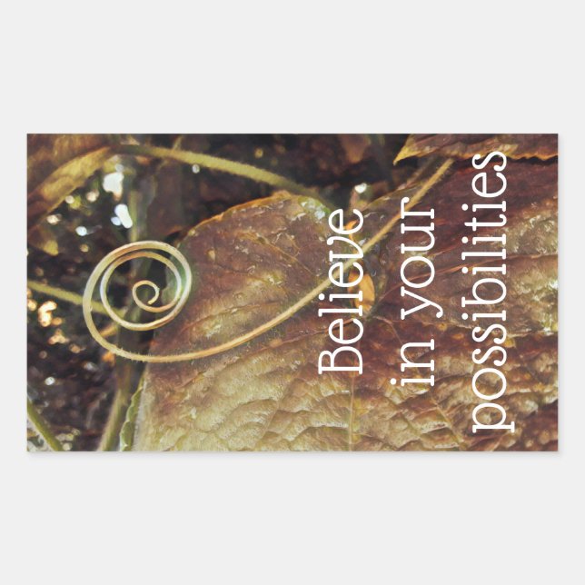 Believe in Your Possibilities Stickers (Front)