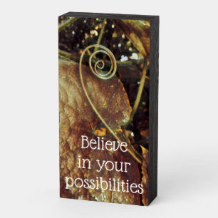 Believe in Your Possibilities Wood Sign