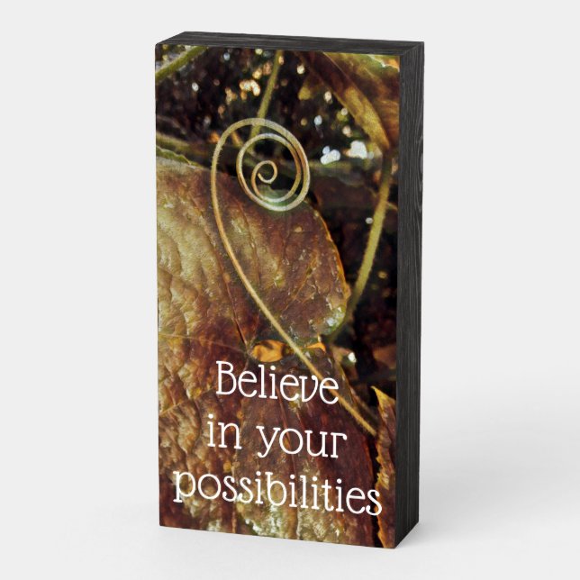 Believe in Your Possibilities Wood Sign (Angled Vertical)