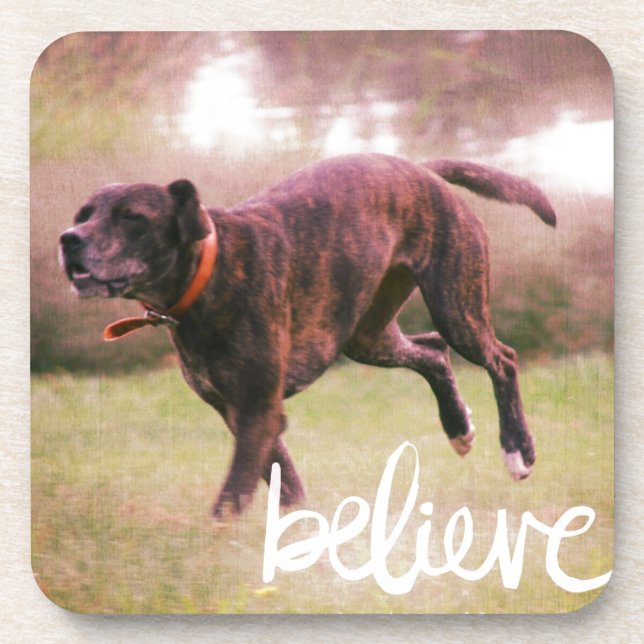 Believe in YourSelf Dog Beverage Coaster (Front)