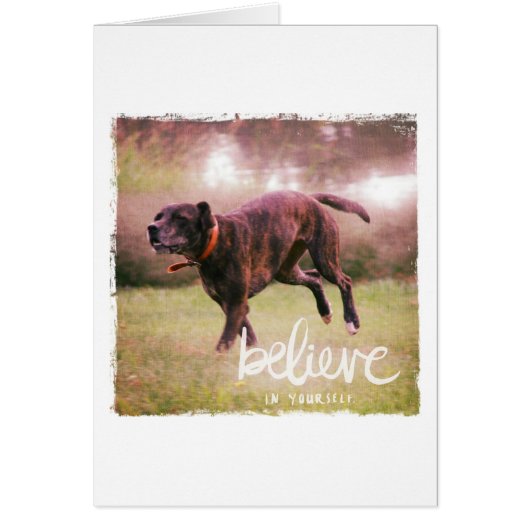 Believe in Yourself Dog Cards (Front)