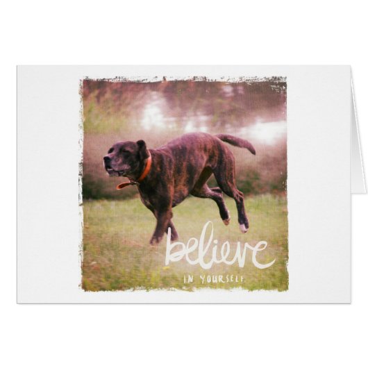 Believe in YourSelf Dog Cards (Front Horizontal)