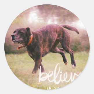 Believe in YourSelf Dog Classic Round Sticker