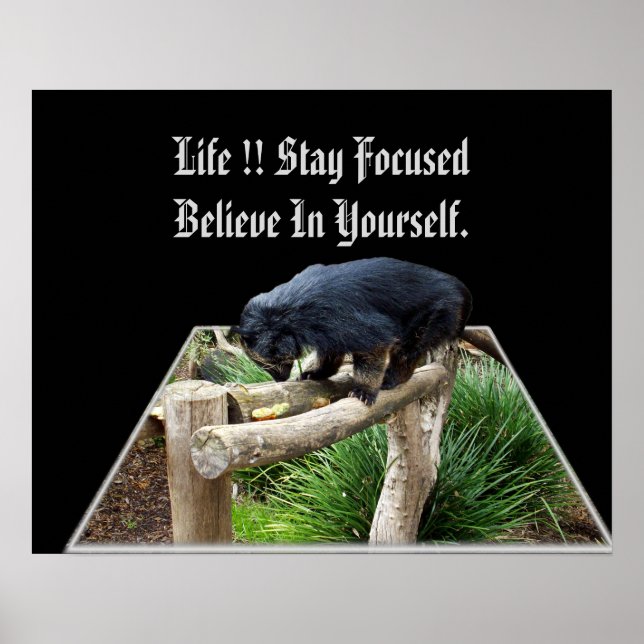 Believe In Yourself Message With Bearcat, Poster (Front)