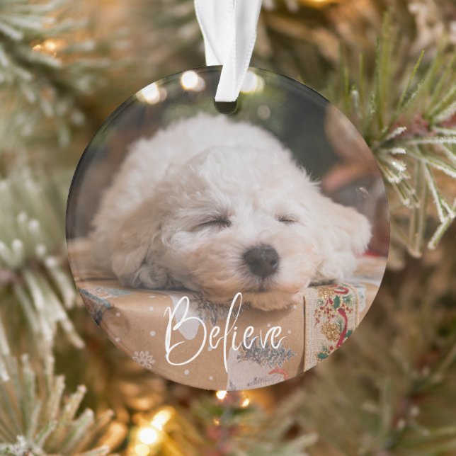 Believe Personalized Photo Christmas Holiday Ornament (Tree)