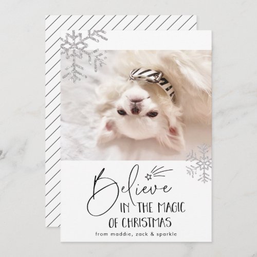 Believe  Pet Photo Holiday Card