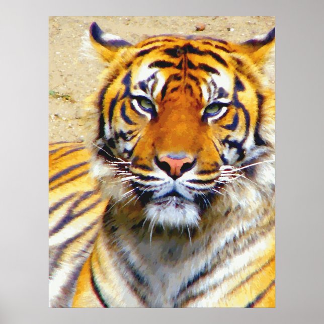 Believe_Poster Poster (Front)