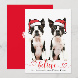 Believe Santa Hat Pet Photo Holiday Card