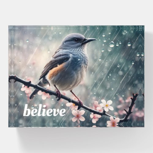 Believe Text and Bluebird In a Rainy Window Paperweight