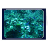 Belize (Front Horizontal)