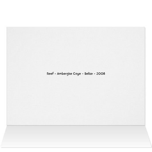 Belize (Inside Horizontal (Top))