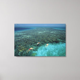Belize, Barrier Reef, Lighthouse Reef, Blue Canvas Print