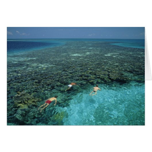 Belize, Barrier Reef, Lighthouse Reef, Blue Cards (Front Horizontal)
