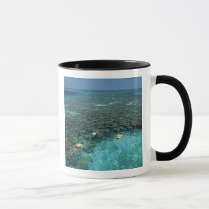 Belize, Barrier Reef, Lighthouse Reef, Blue Mug