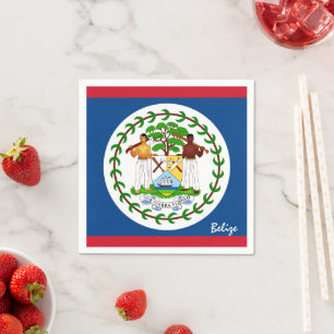 Belize & Belize Flag party fashion /sport fans Napkins