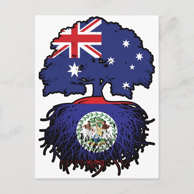 Belize Belizean Australian Australia Tree Roots Postcard (Front)