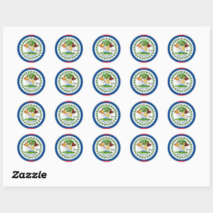 Belize & Belizean flag patriots, holiday / sports Classic Round Sticker