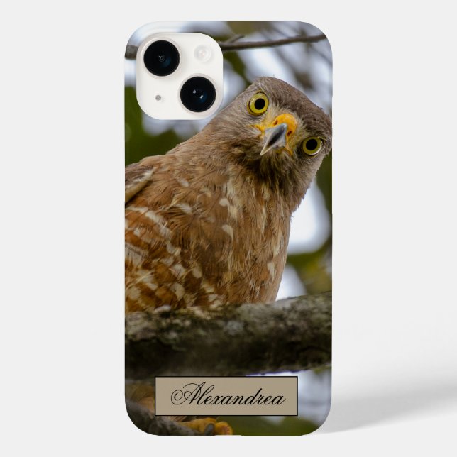 Belize Brown Roadside Hawk Bird Photography Case-Mate iPhone Case (Back)