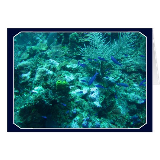 Belize Cards (Front Horizontal)