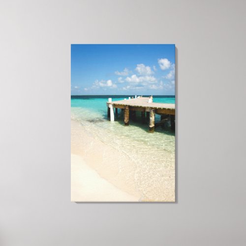 Belize Caribbean Sea Goff Caye A Small Island Canvas Print