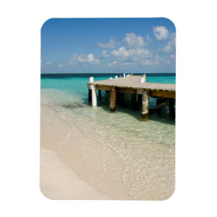 Belize, Caribbean Sea, Goff Caye. A Small Island Magnet