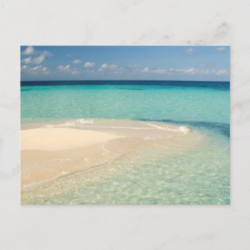 Belize Caribbean Sea Goff Caye A Small Island Postcard