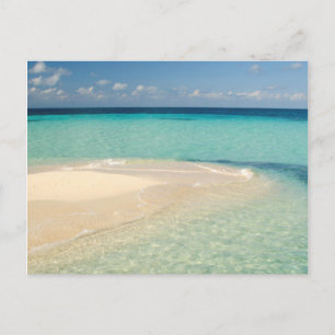 Belize, Caribbean Sea. Goff Caye, A Small Island Postcard