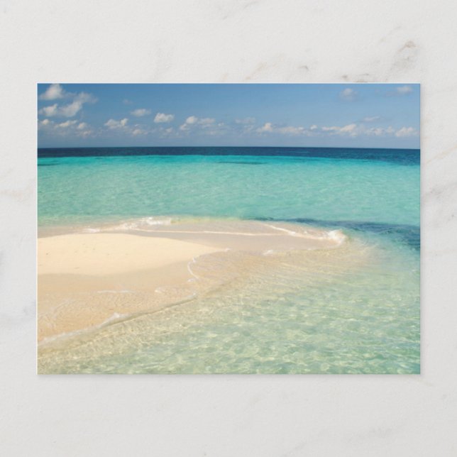 Belize, Caribbean Sea. Goff Caye, A Small Island Postcard (Front)
