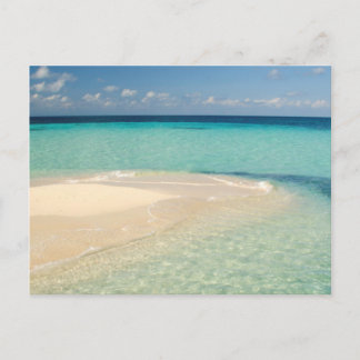 Belize, Caribbean Sea. Goff Caye, A Small Island Postcard