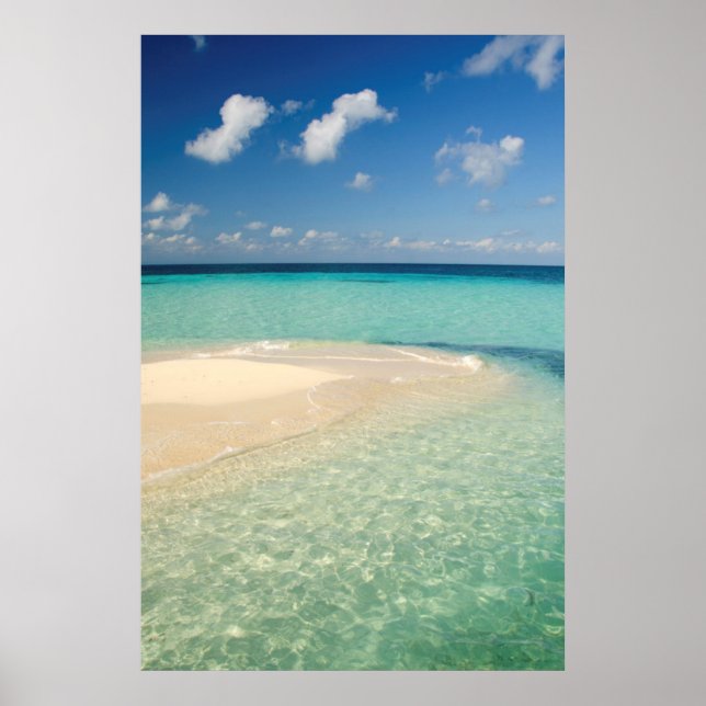 Belize, Caribbean Sea. Goff Caye, A Small Island Poster (Front)