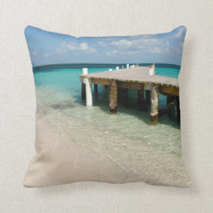 Belize, Caribbean Sea, Goff Caye. A Small Island Throw Pillow