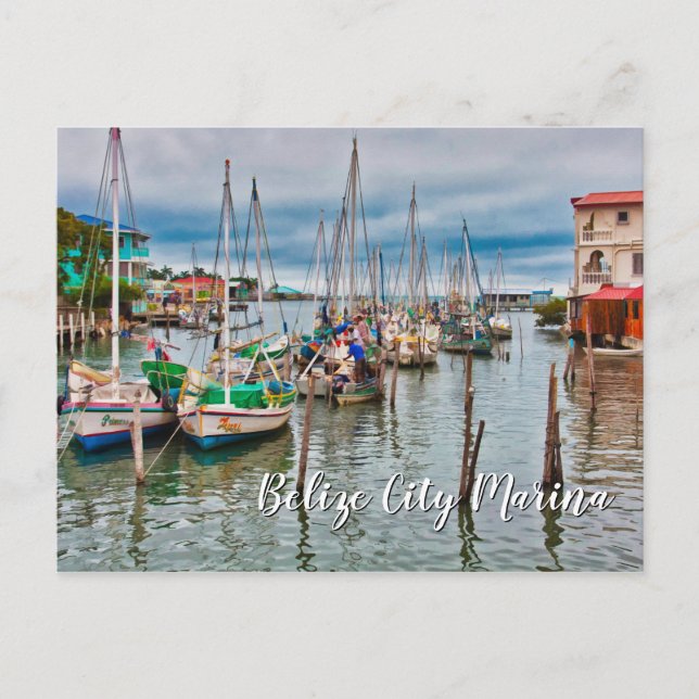 Belize City Harbor and Marina Postcard (Front)