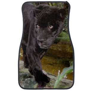 Belize City Zoo. Black panther Car Floor Mat