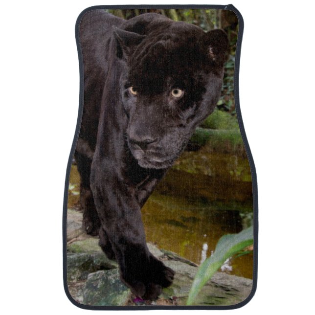 Belize City Zoo. Black panther Car Floor Mat (Front)