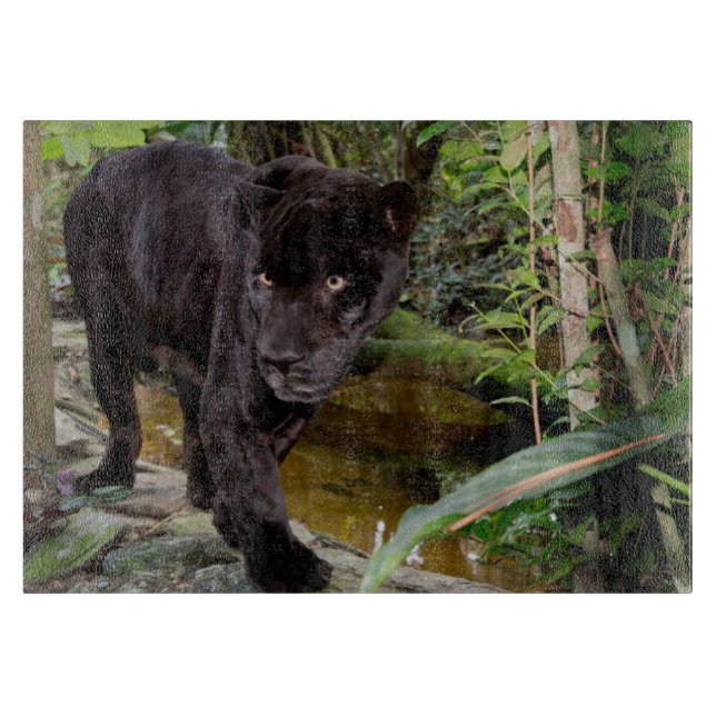 Belize City Zoo. Black panther Cutting Board (Front)