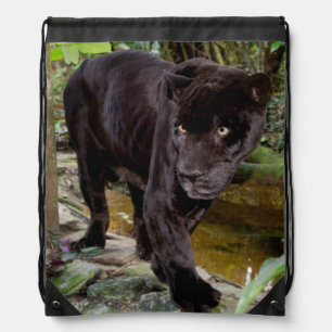 Belize City Zoo. Black panther Drawstring Bag