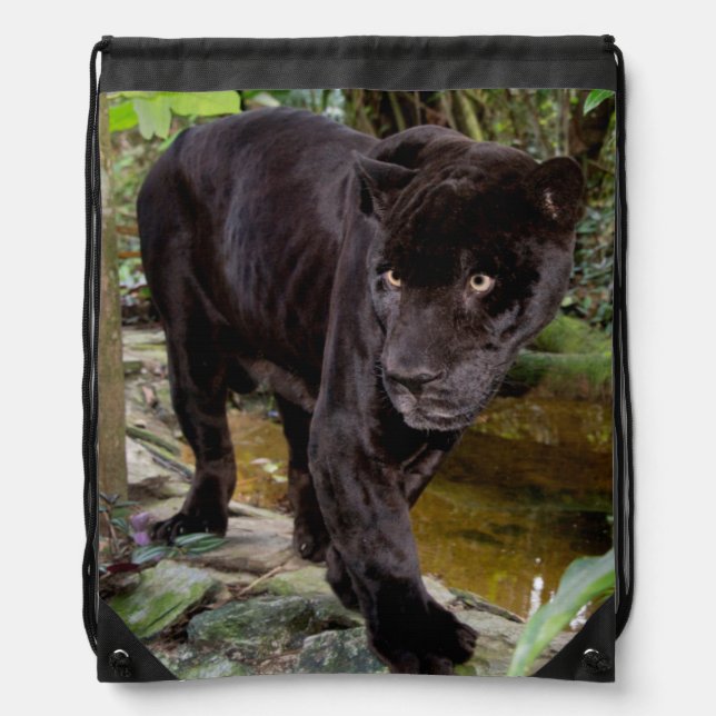 Belize City Zoo. Black panther Drawstring Bag (Front)
