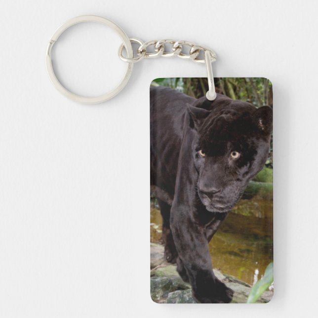 Belize City Zoo. Black panther Keychain (Front)