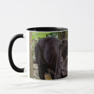 Belize City Zoo. Black panther Mug