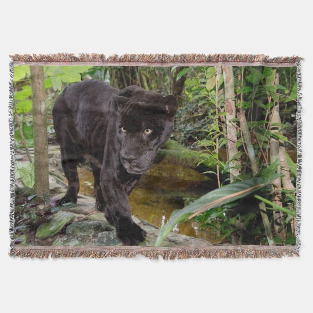 Belize City Zoo. Black panther Throw Blanket (Front)
