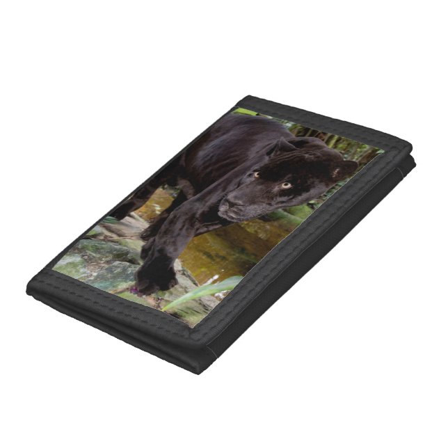 Belize City Zoo. Black panther Tri-fold Wallet (Bottom)