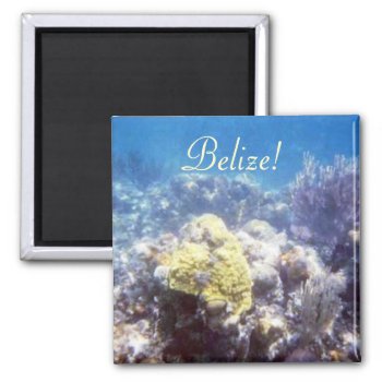 Belize! Coral Reef Magnet by h2oWater at Zazzle
