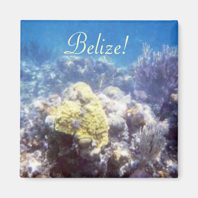 Belize! Coral Reef Magnet (Front)