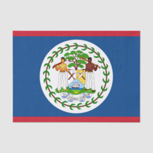 Belize fashion decor, Belize Flag tissue paper